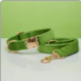 Multiple Colour Velvet Personalise Dog Collar Leash Set With Bow (Option: Green set-L)